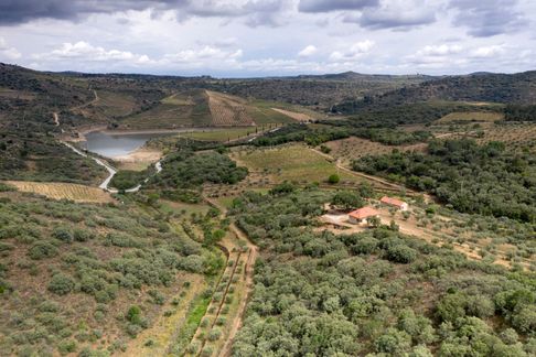 anchor-links-Quinta da Vineadouro – Family Vineyards & Wine Hotel